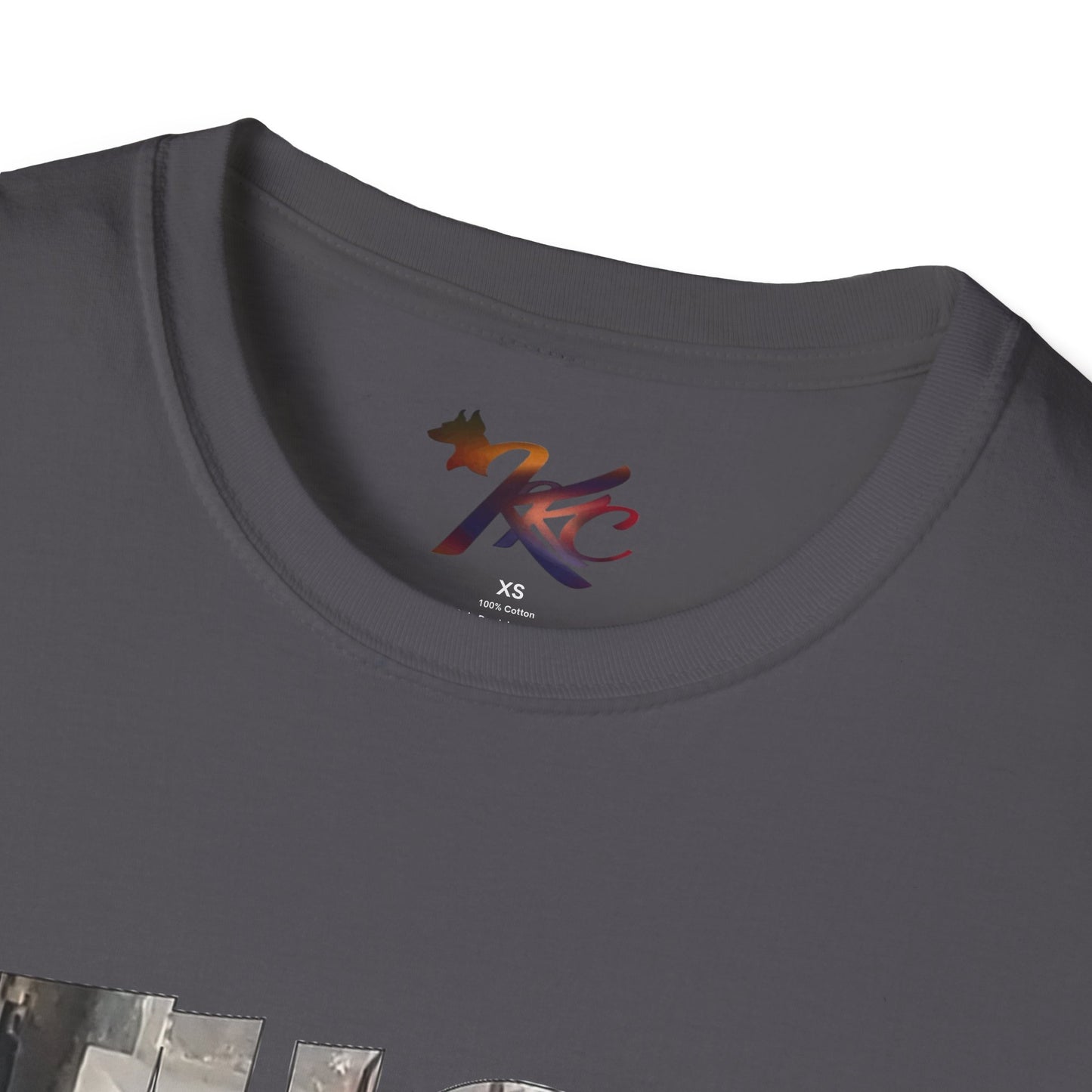 Graphic Tee - F*CK DCM Design for Men and Women