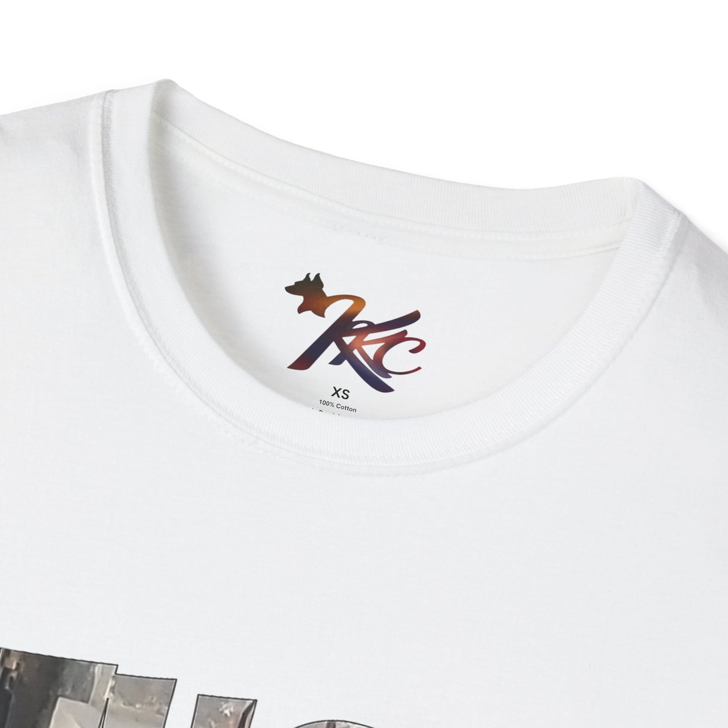 Graphic Tee - F*CK DCM Design for Men and Women