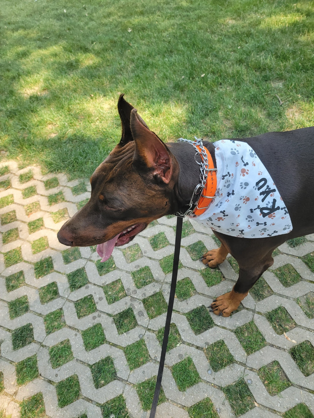 Bandanas