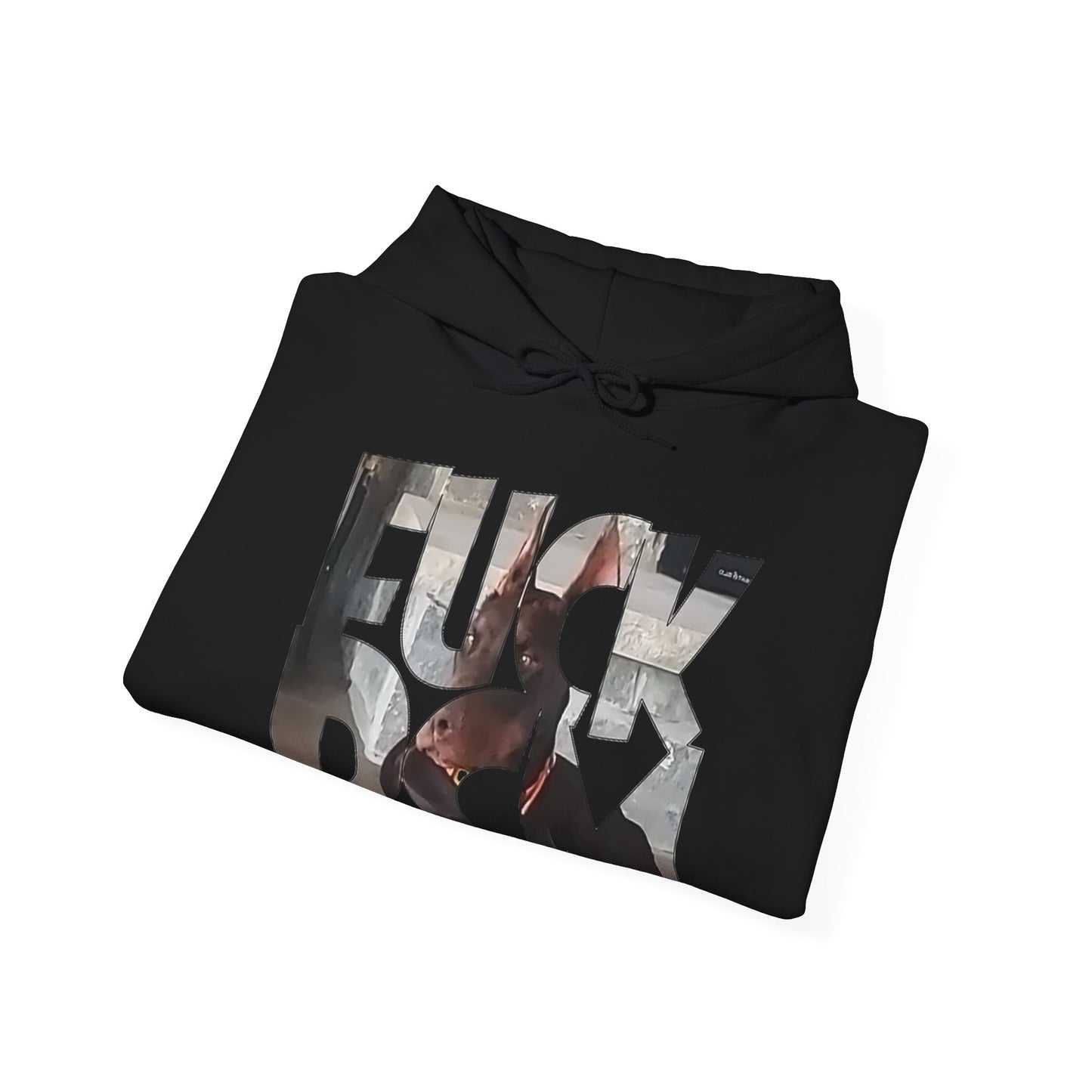 Hooded Sweatshirt - Bold 'FUCK DCM' Design